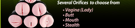several fleshlight orifices to choose from